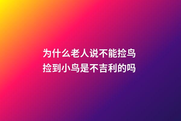 为什么老人说不能捡鸟 捡到小鸟是不吉利的吗